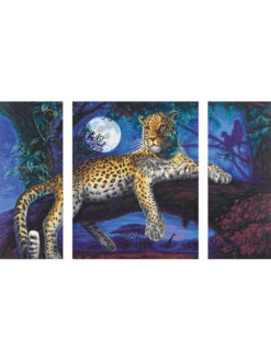 3-delige Schilderen-op-nummer-set "Afrika - Jager In De Nacht" - Vanaf 12 Jaar -Gstar Kleding Winkel schipper 3 delige schilderen op nummer set afrika jager in de nacht vanaf 12 jaar 2