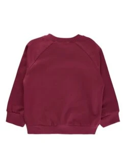 Sweatshirt "Delores" Fuchsia -Gstar Kleding Winkel the new sweatshirt delores fuchsia 1