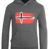 TROLLKIDS Hoodie "Trondheim" Grijs -Gstar Kleding Winkel trollkids hoodie trondheim grijs